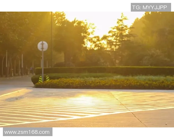 球星拼图足球带你探索绿茵巨星风采与热血拼图竞技魅力