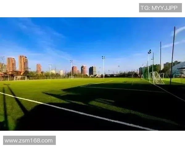 追寻绿茵记忆重温足球巨星昔日征战辉煌球场之旅